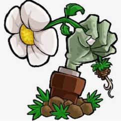 植物大战僵尸内鬼版