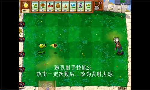 植物大战僵尸坑版截图2