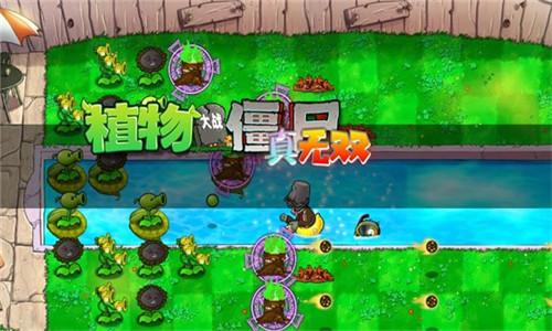 植物大战僵尸真无双版截图2
