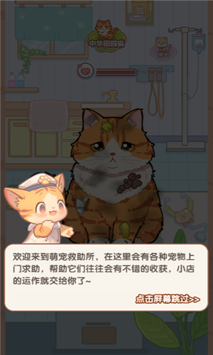 猫猫狗狗一起玩