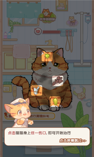 猫猫狗狗一起玩