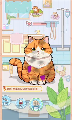 猫猫狗狗一起玩