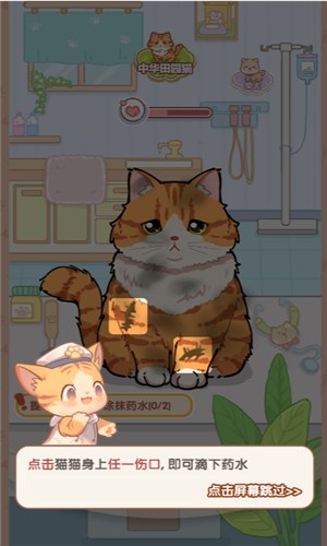 猫猫狗狗一起玩