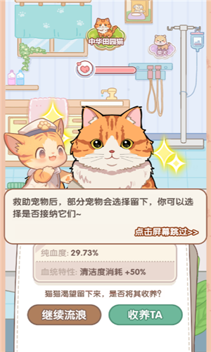 猫猫狗狗一起玩