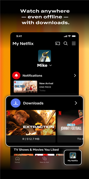 netflix安卓app截图2