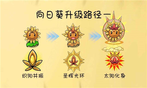 植物大战僵尸共生版