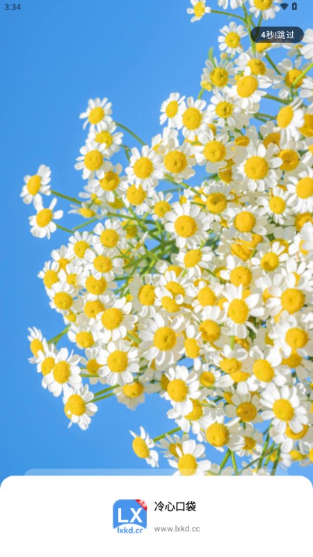 冷心口袋2025最新版本