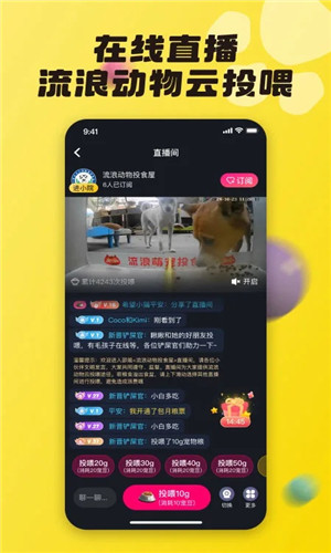 预览图3