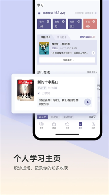 预览图5