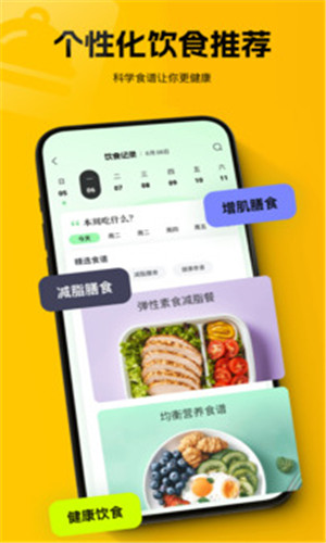 预览图5