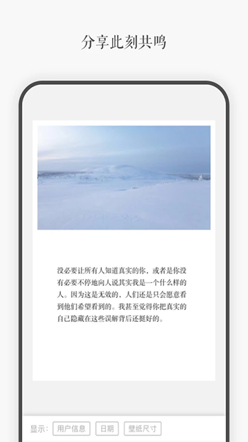 预览图4