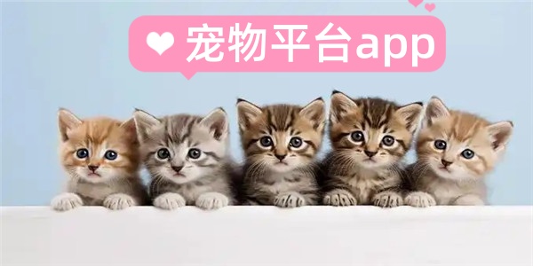 宠物平台app