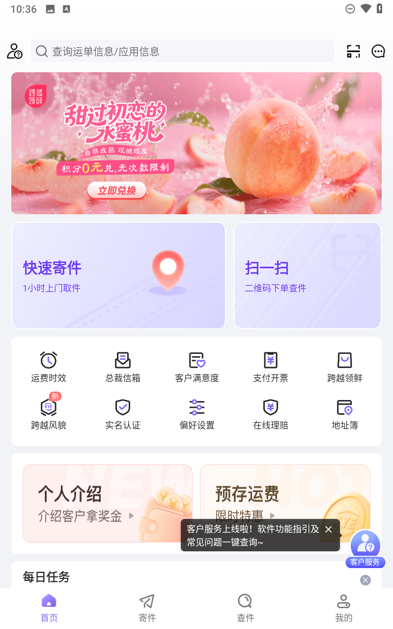 预览图4