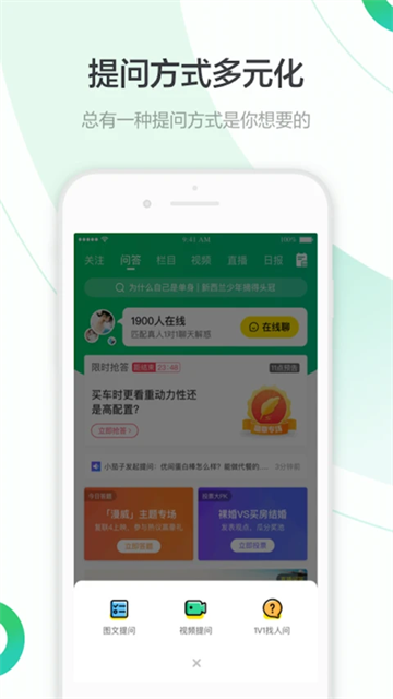 预览图4