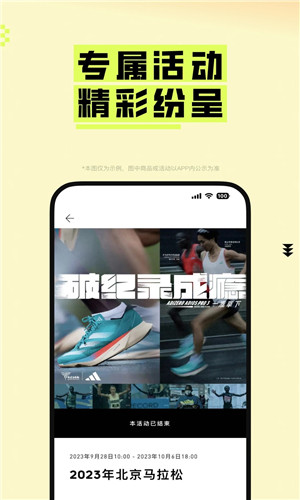 预览图4