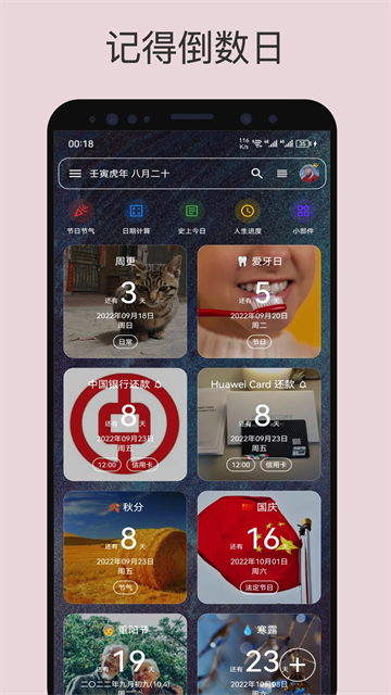 预览图4