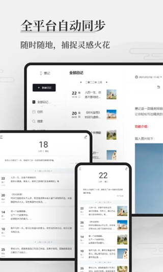 预览图4