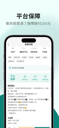预览图4