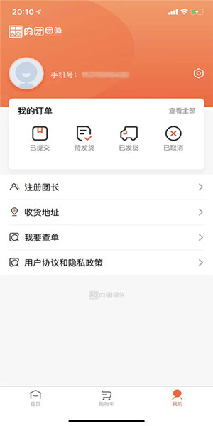 预览图4