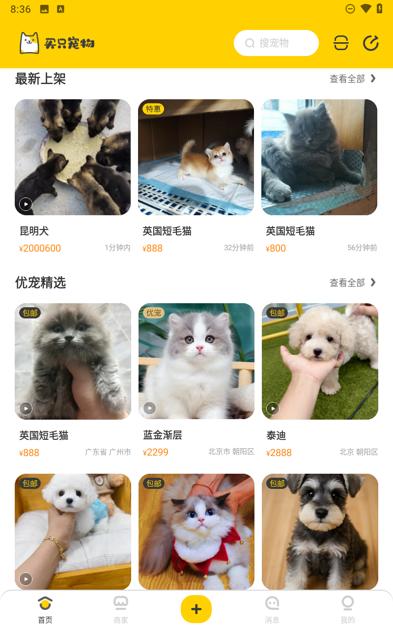 预览图4