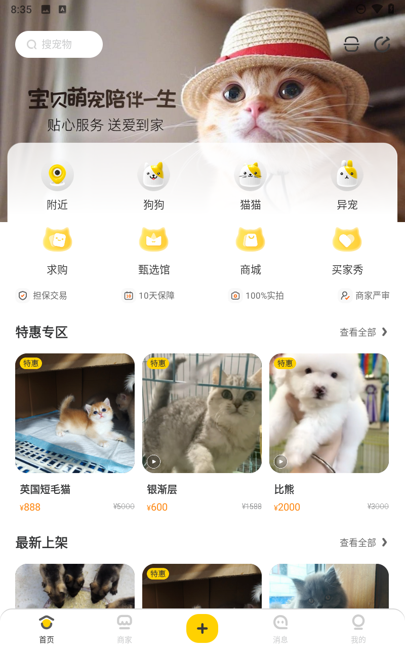 预览图3