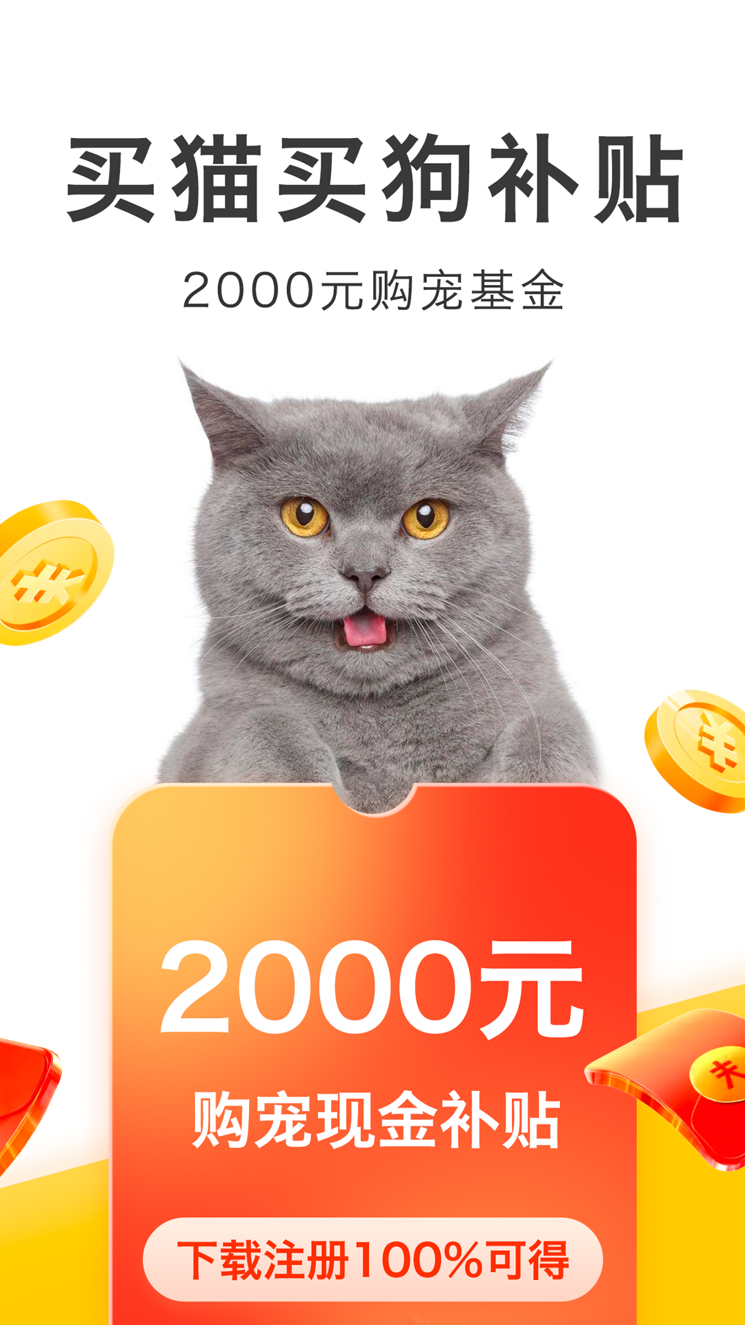 预览图6