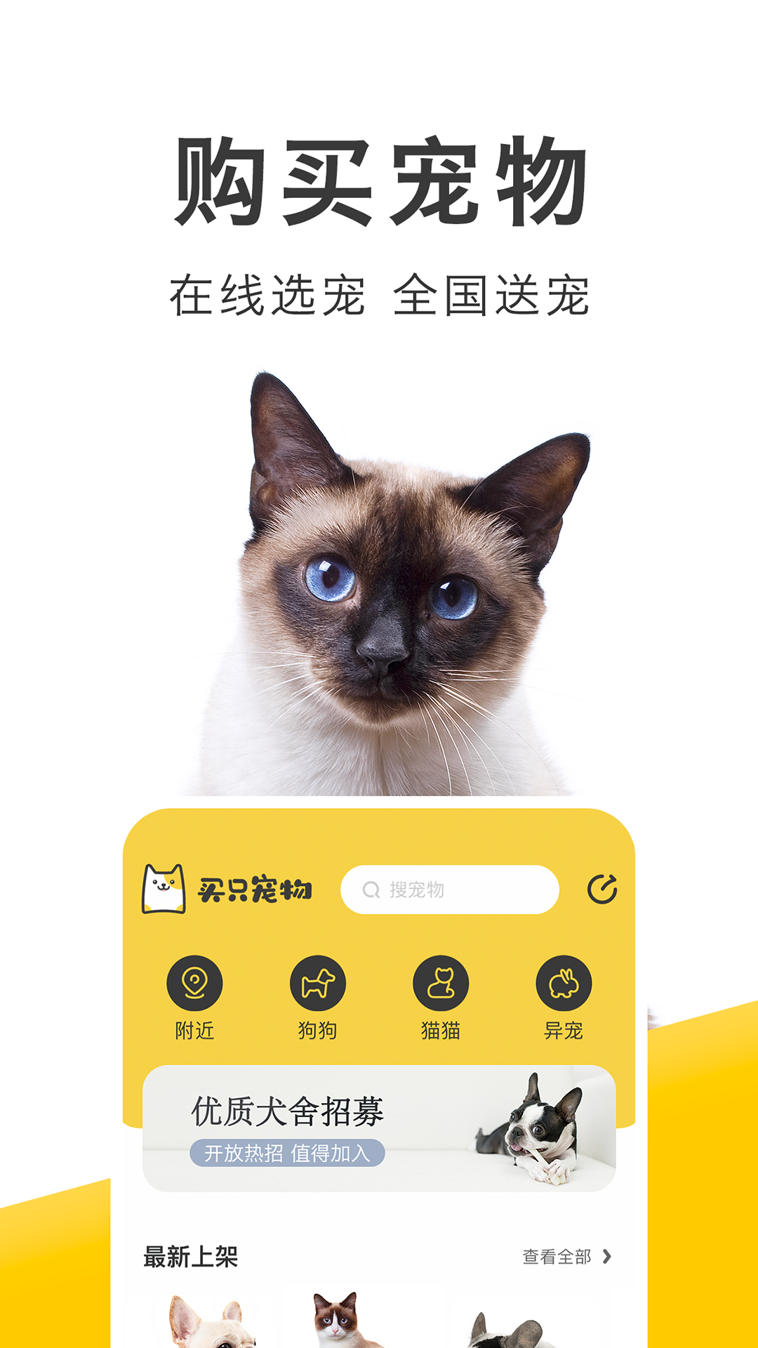 预览图7