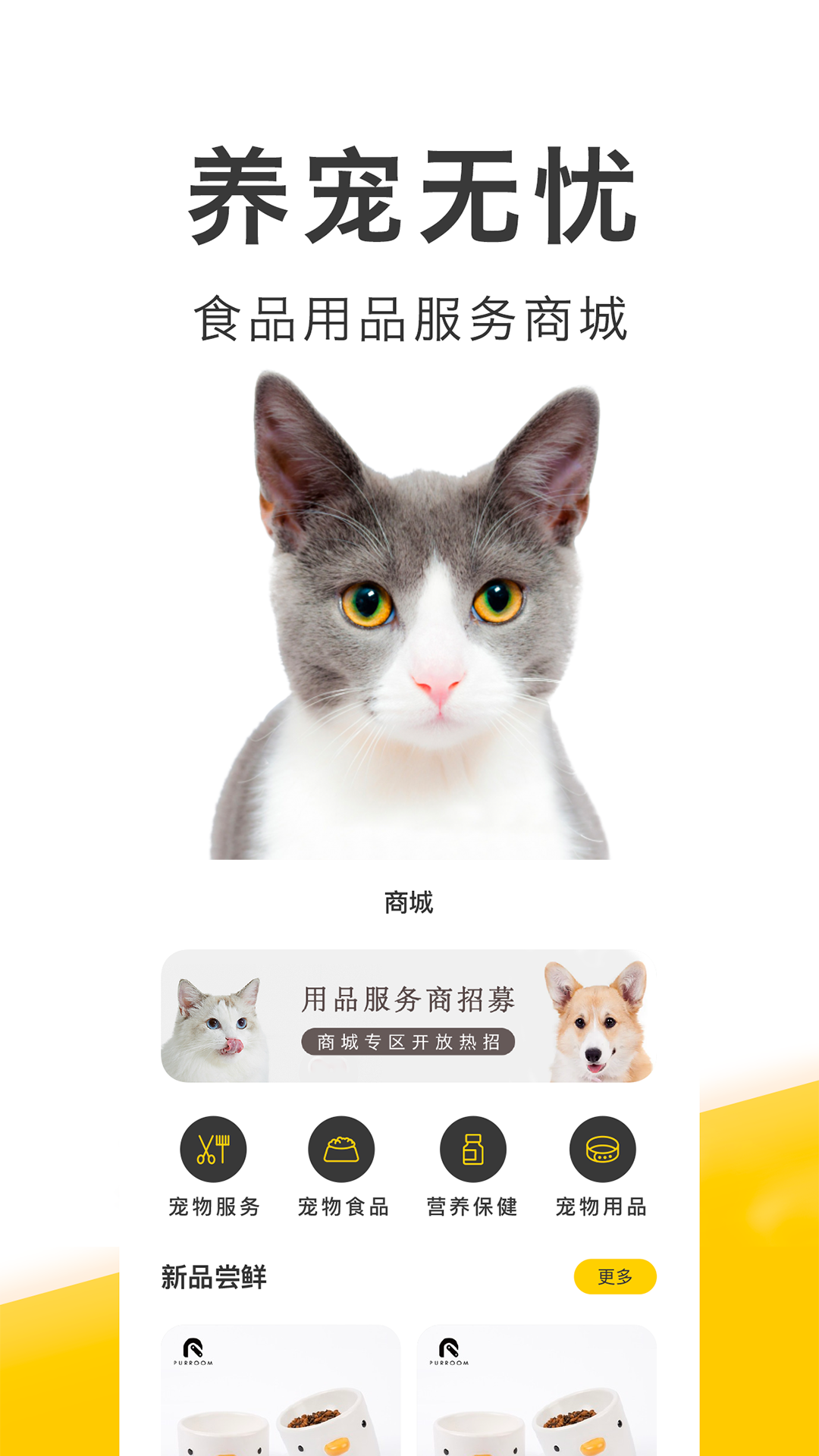 预览图8