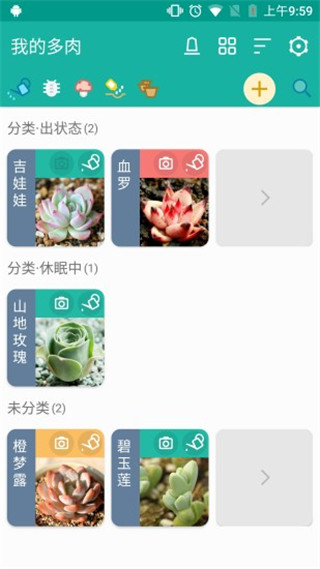 预览图3