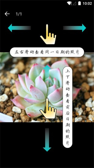 预览图2