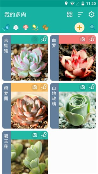 预览图4