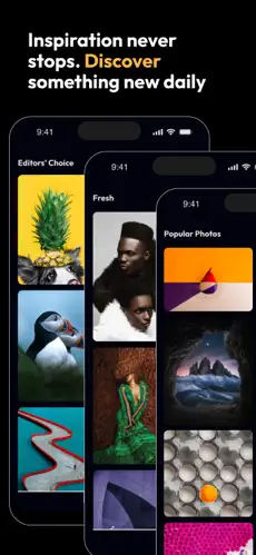 500px截图7