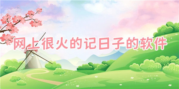 网上很火的记日子的软件