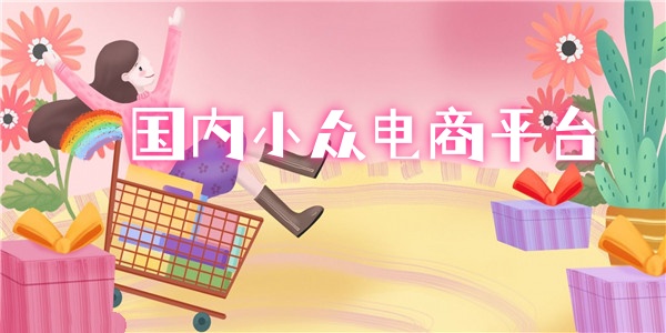 国内小众电商平台
