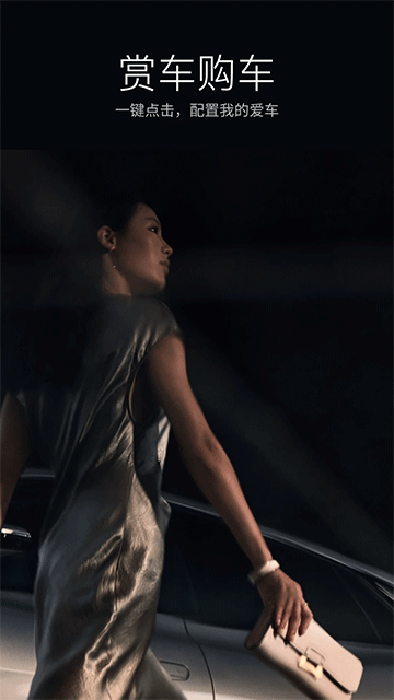 比亚迪王朝截图3