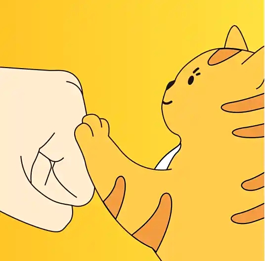 友猫