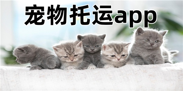宠物托运app