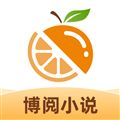 博阅小说