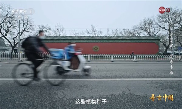 晨星电视apk最新版