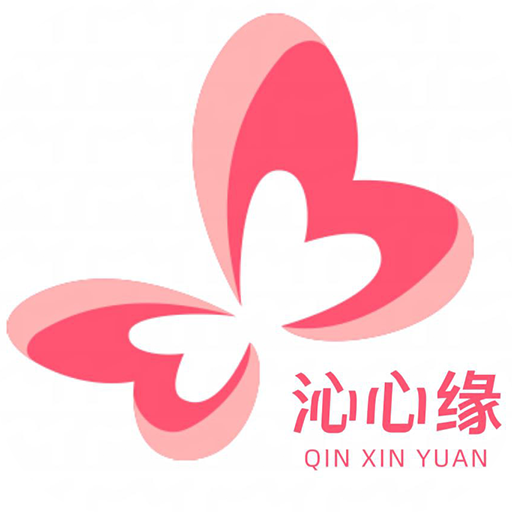 沁心缘小说