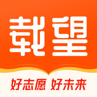 载望志愿