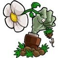 植物大战僵尸Ra版