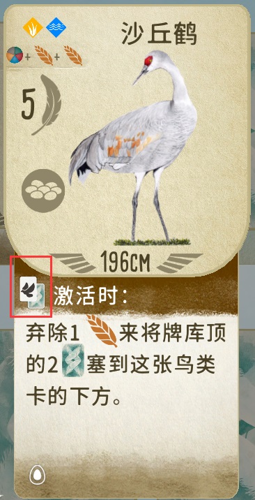 展翅翱翔
