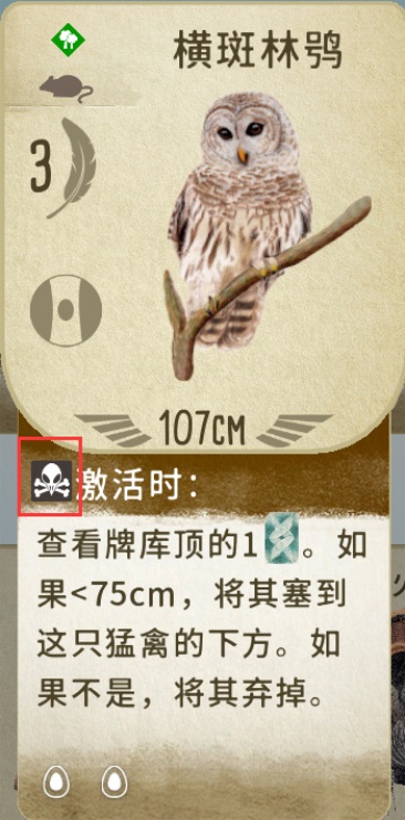 展翅翱翔