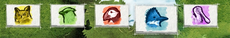 展翅翱翔